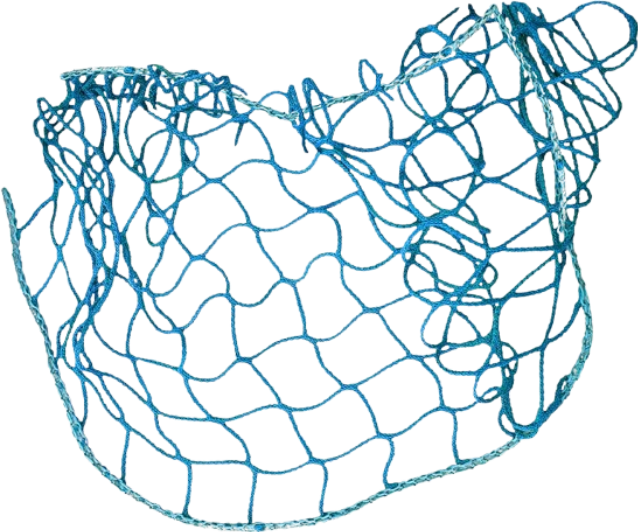 fish net